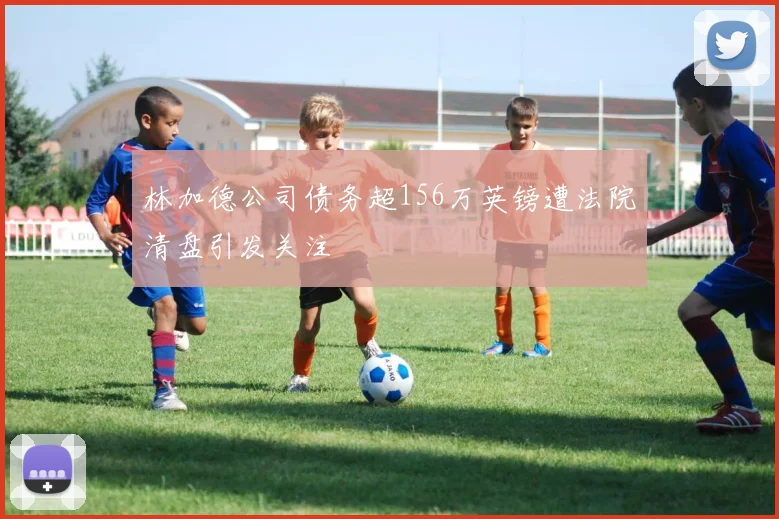 林加德公司债务超156万英镑遭法院清盘引发关注