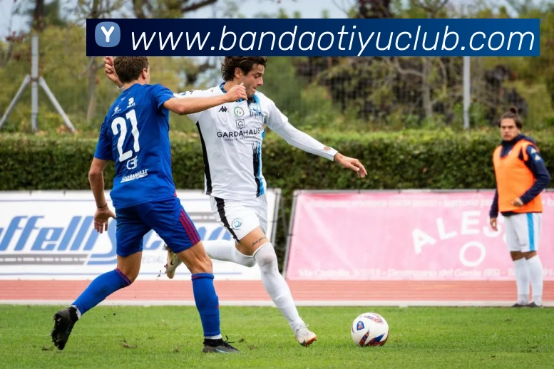 半岛体育平台生态图