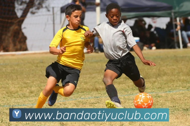 半岛体育APP 封面图